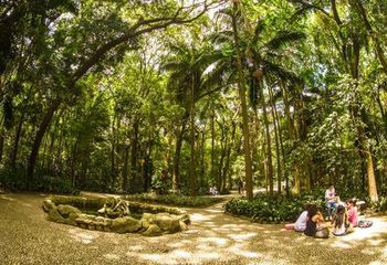 O Parque Trianon fica em frente ao MASP na |Avenida Paulista - SP. 