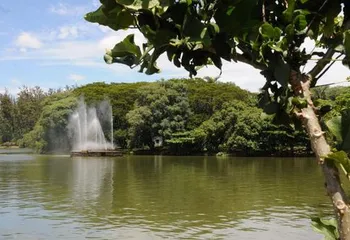 Vista da Lagoa no Parque Taquaral de Campinas - SP.