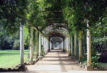 Jardim Botânico do Rio de Janeiro - RJ. 