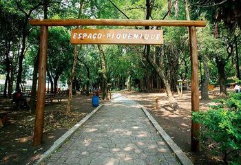 Espaço para piqueniques no Parque da Água Branca em São Paulo - SP. 