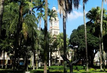 Vista do Parque Jardim da Luz em São Paulo - SP com a Estação da Luz ao fundo.