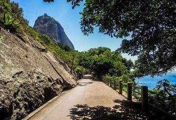 Trecho da Trilha do Morro da Urca no Rio de Janeiro - RJ. 
