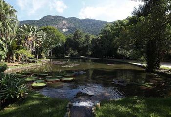 Lago Amazônico do Jardim Botânico do Rio de Janeiro - RJ.