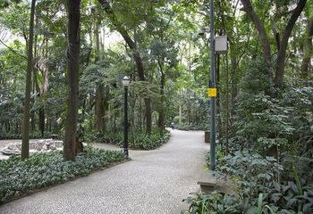 Parque Trianon em São Paulo - SP. 