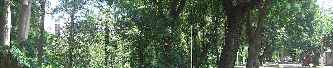 Pista de caminhada do Zerão em Londrina - PR.