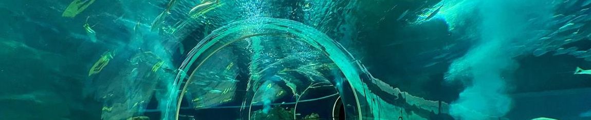 AquaRio no Rio de Janeiro - RJ é o maior aquário marinho da América do Sul.