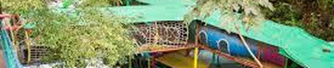 Parque MikeWood em Curitiba - PR.