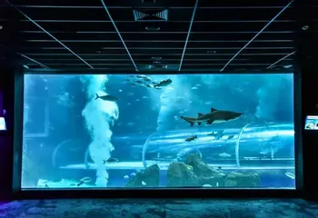 Tanque principal do AquaRio no Rio de Janeiro - RJ. 