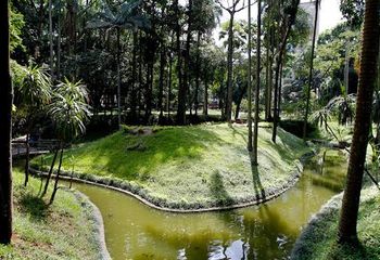Detalhes do Parque Jardim da Luz em São Paulo - SP.
