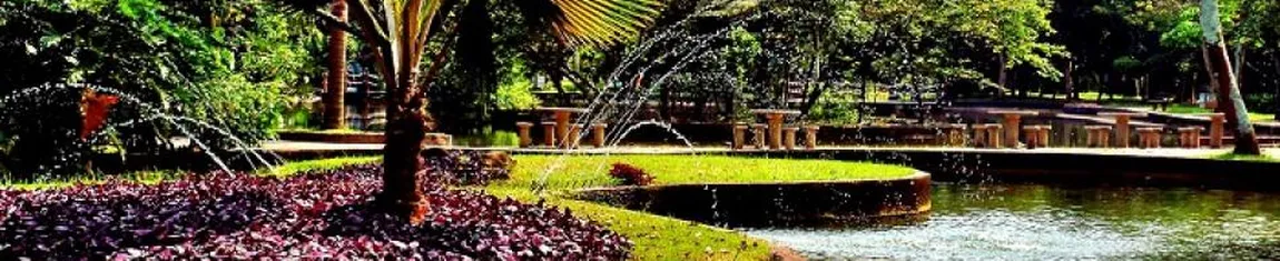 Vista do Jardim Botânico de Santos - SP.