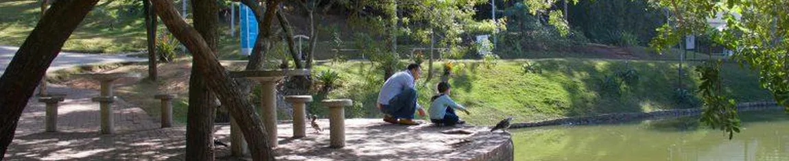 Lagos com peixes estão entre as atrações do Parque Celso Daniel em Santo André - SP.