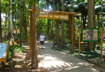Início da Trilha do Pau-Brasil no Parque da Água Branca em São Paulo - SP. 