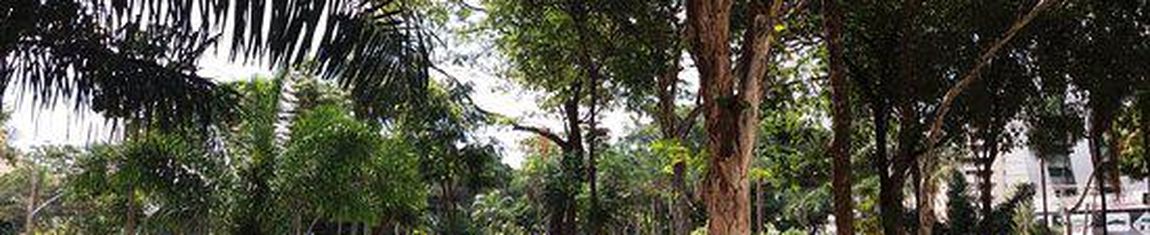 Vista da Praça Tamandaré, opção turística na cidade de Goiânia - GO.