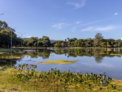 Igreja Matriz de Montes Claros - MG.