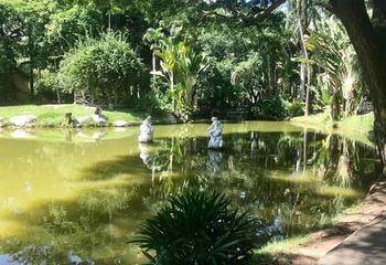 Lagos no Campo de São Bento em Niterói - RJ,