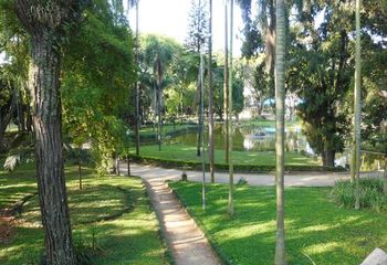 Interior do parque Jardim da Luz em São Paulo - SP.