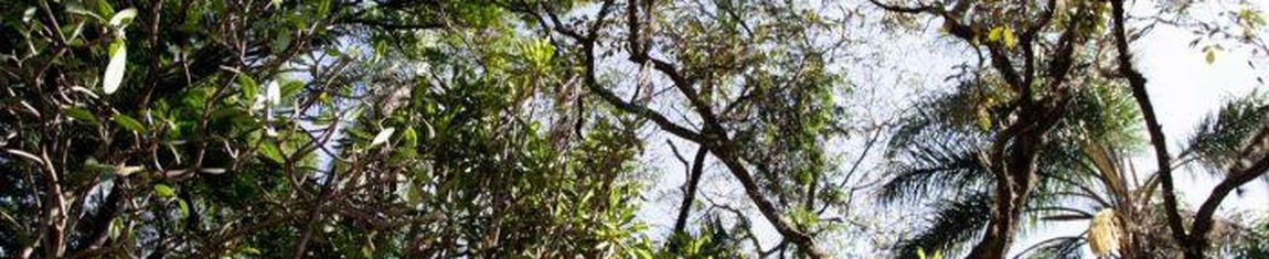 Entrada do Zoológico Municipal de São José do Rio Preto - SP.