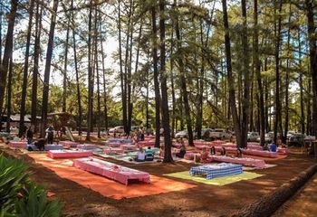 Espaço para piqueniques no Jardim Botânico de Brasília - DF. 