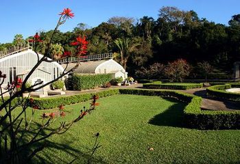 O Jardim Botânico de São Paulo está localizado em meio à Mata Atlântica. 