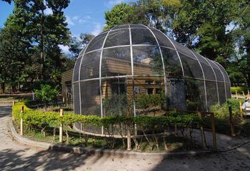 Borboletário da Fundação Zoobotânica de Belo Horizonte - MG. 