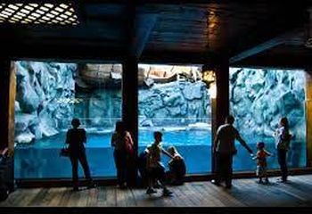 Interior do Aquário de São Paulo - SP. 