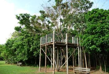 Circuito das Árvores no Parque Villa-Lobos em São Paulo - SP.