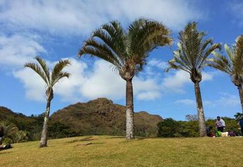 Morro do Piquenique no Parque das Mangabeiras de Belo Horizonte - MG. 