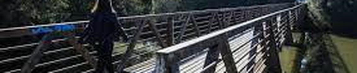 Parque Cambuí em Curitiba - PR.