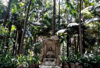 Bebedouro no Parque Trianon de São Paulo - SP.