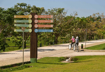 Parque Ecológico da Pampulha é ideal para a prática de esportes em Belo Horizonte - MG. 