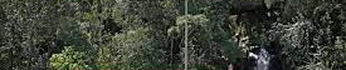 Parque Vista Alegre em Curitiba - PR.