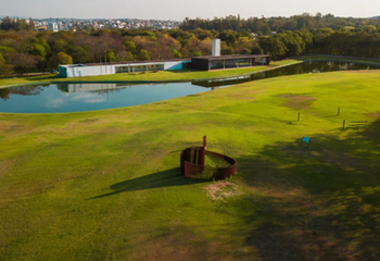 Bosque do Parque Ecológico da Pampulha em Belo Horizonte - MG. 