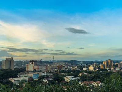 A Floresta da Cicuta traz uma reserva de Mata Atlântica que desenha a paisagem da Vila Santa Cecília e outros bairros centrais de Volta Redonda - RJ.