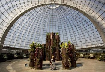 Orquidário Ruth Cardoso no Parque Villa-Lobos em São Paulo - SP. 