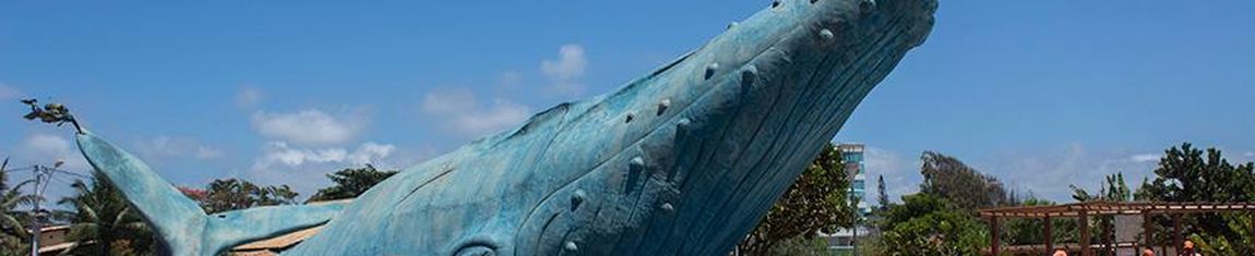 Praça da Baleia em Rio das Ostras - RJ.