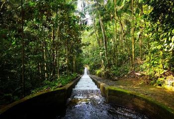 Parque Estadual da Pedra Grande no Rio de Janeiro - RJ. 