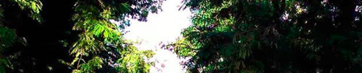 Obelisco no meio da Praça da Independência, simboliza a luta pela Independência em João Pessoa - PB.