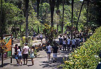 Visitantes caminhando pelo Zoológico de São Paulo - SP.