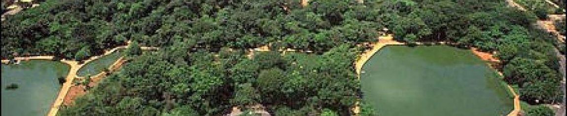 Vista área do Bosque dos Buritis, um dos maiores parques urbanos de Goiânia - GO.