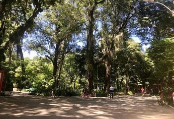 Área verde do Campo de São Bento em Niterói - RJ.