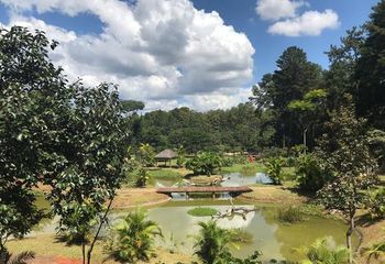Área do Jardim Botânico de Brasília - DF. 