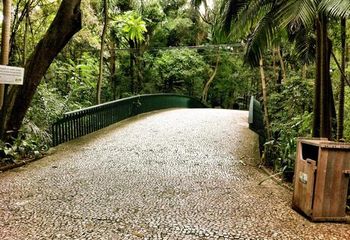 Passarela do Parque Trianon em São Paulo - SP.