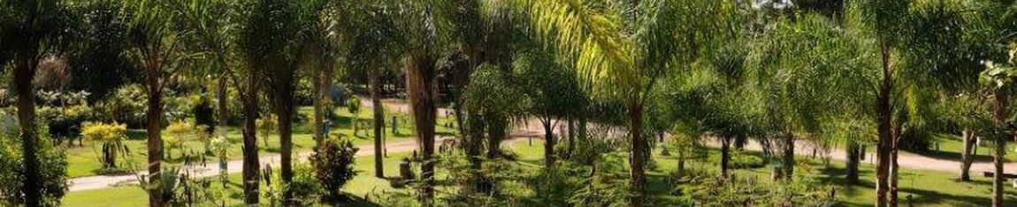 Área verde do Parque Municipal de Rio das Ostras - RJ.