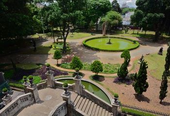 Jardim da Luz na entrada da Pinacoteca de São Paulo. 