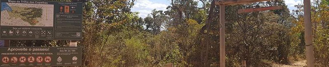 Início da trilha no Parque Ecológico das Copaíbas em Brasília - DF.
