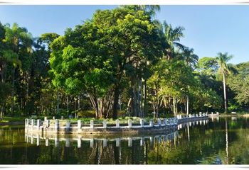 Área verde do Parque Municipal Américo Renné Giannetti em Belo Horizonte - MG.