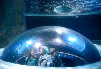 Observatório de um dos ambientes do AquaRio no Rio de Janeiro - RJ. 