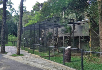 Recintos do Zoológico Municipal de Curitiba - PR.